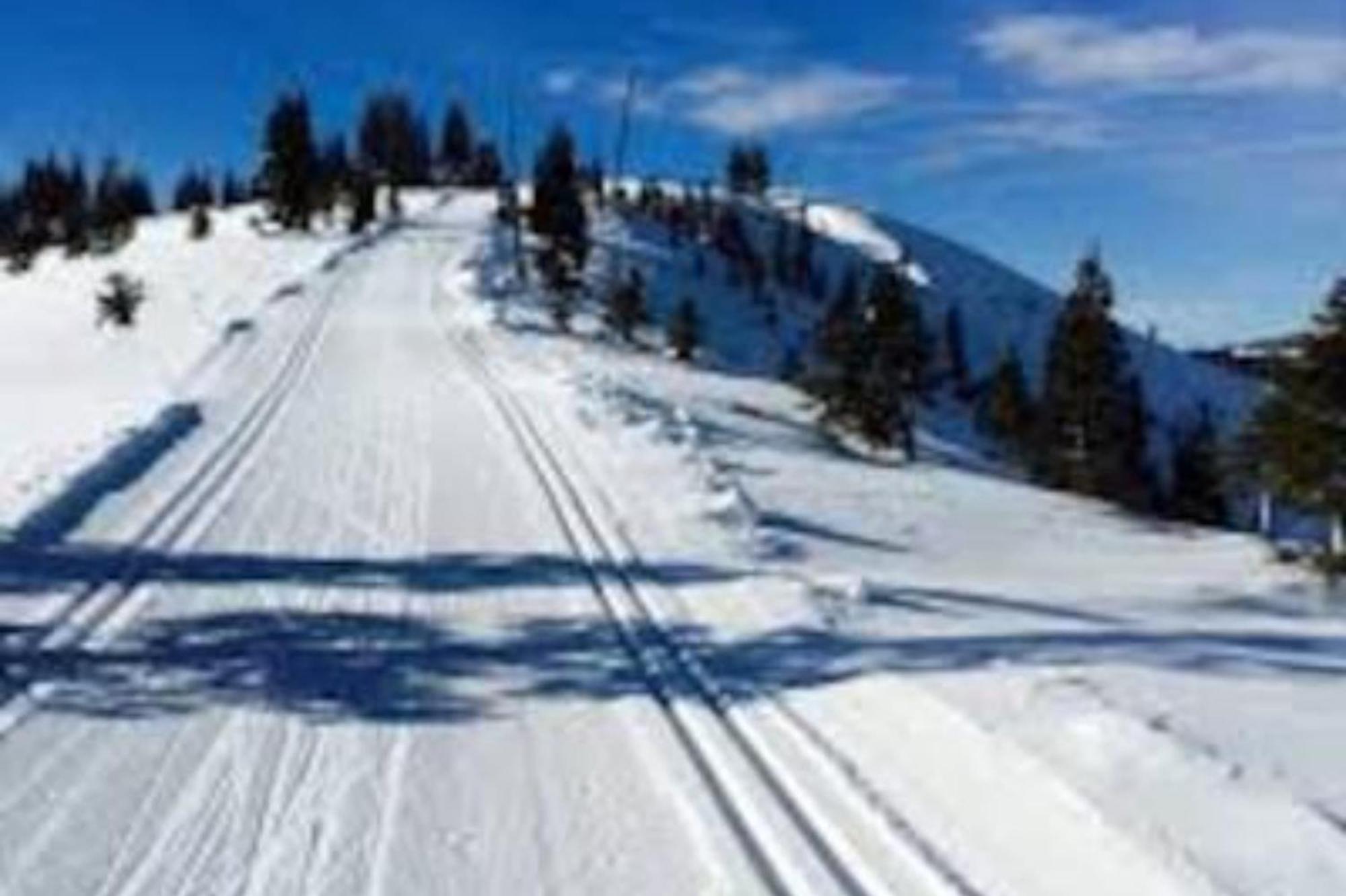 Moosetrack By Avantstay Cozy Cabin In The Of Tahoe Donner W Hot Tub Truckee Exterior foto